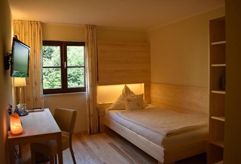 اتاق سوپریور یک تخته, Bio Hotel Bayerischer Wirt Augsburg