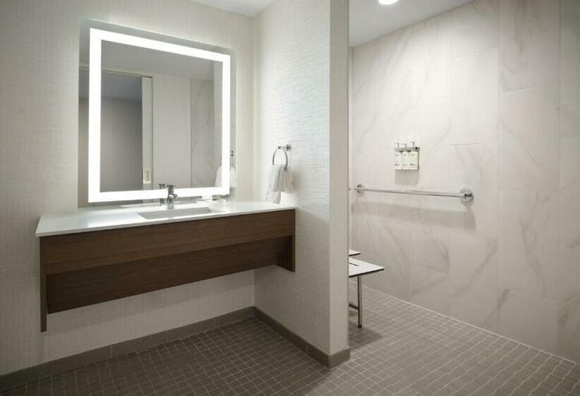 Handikappsanpassat Standard Rum, Holiday Inn Chicago O Hare   Rosemont, An Ihg