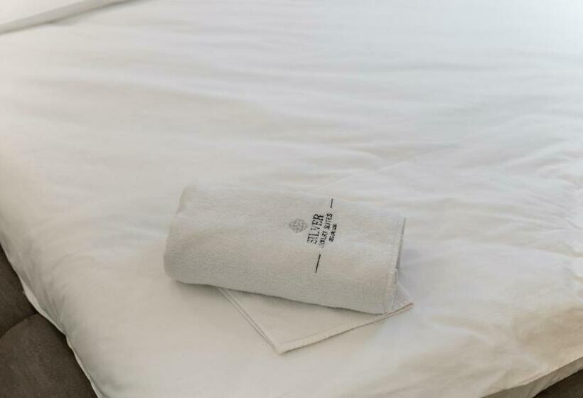 شقة ديلوكس غرفة واحدة, Silver Luxury Suites