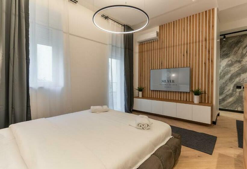 غرفة قياسية مزوَّدة بتراس, Silver Luxury Suites