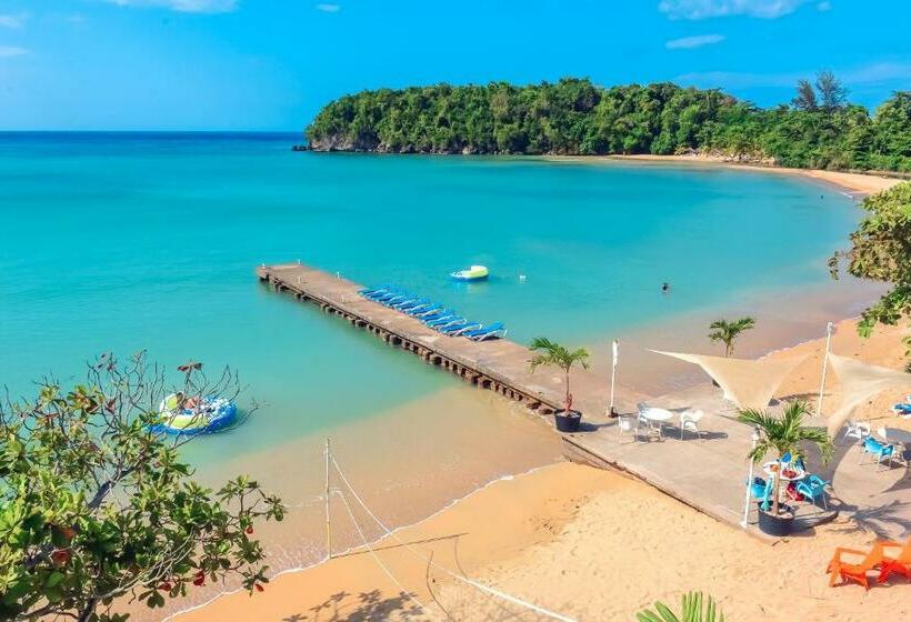 اتاق استاندارد با چشم‌انداز دریا, Sand And Tan Beach