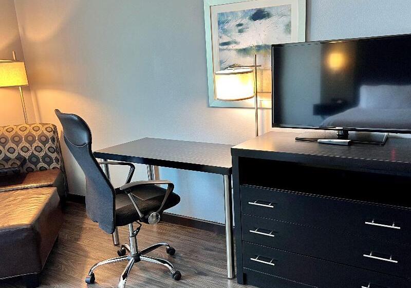 غرفة قياسية لذوى الاحتياجات الخاصة, Holiday Inn Carlsbad/san Diego, An Ihg