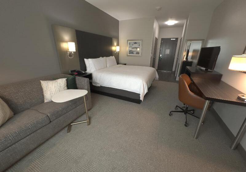 غرفة قياسية لذوى الاحتياجات الخاصة, Holiday Inn Carlsbad/san Diego, An Ihg