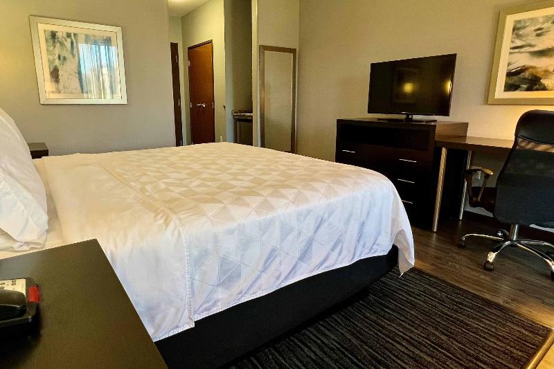 장애인을 위한 스탠다드 룸, Holiday Inn Carlsbad/san Diego, An Ihg