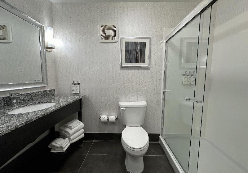 스탠다드 룸, Holiday Inn Carlsbad/san Diego, An Ihg