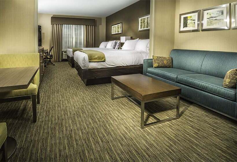 Люкс, Holiday Inn Express & Suites Salt Lake City South   Murray By Ihg