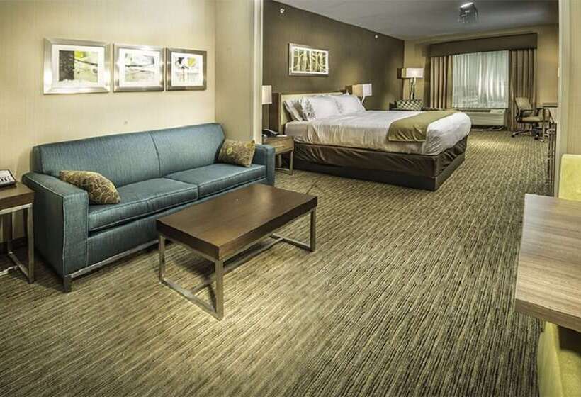 Люкс, Holiday Inn Express & Suites Salt Lake City South   Murray By Ihg