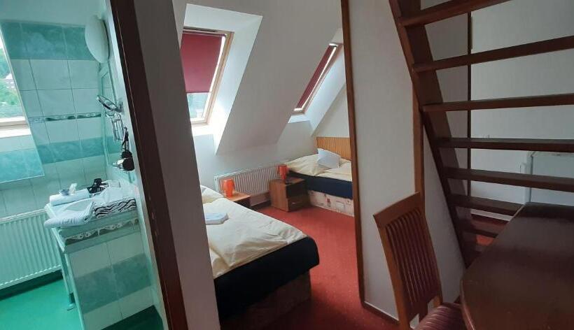 اتاق استاندارد یک نفره, Wellness & Sport Hotel Ttc