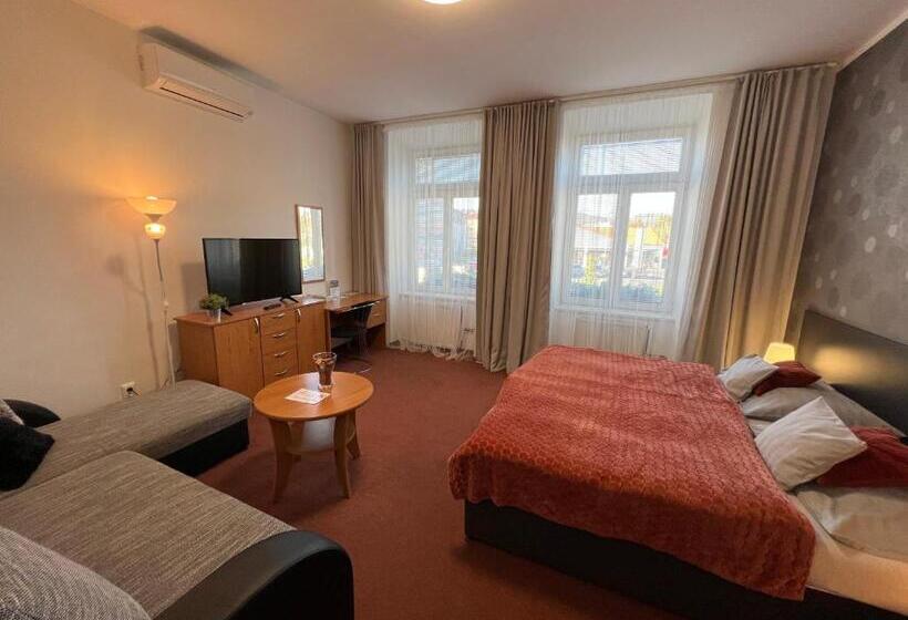 Номер Deluxe, Wellness Penzion U Grygarů