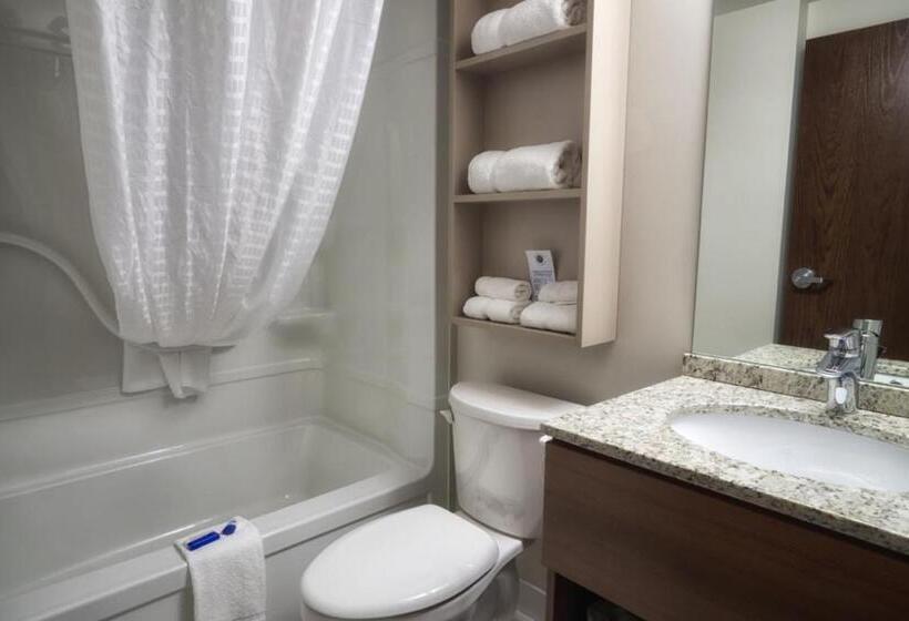 스탠다드 룸, Microtel Inn & Suites Sault Ste. Marie