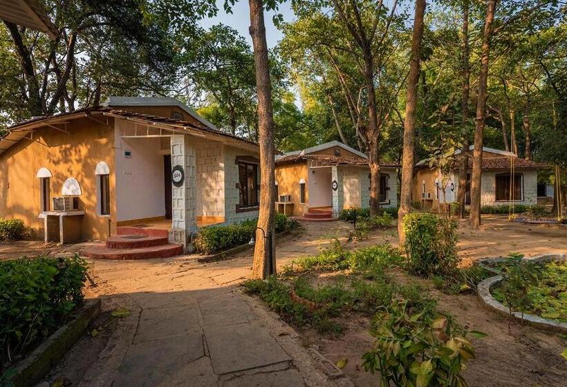 Номер Стандарт, Jungle King Resort