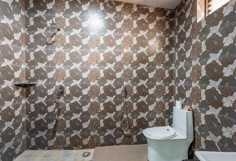 Номер Стандарт, Jungle King Resort