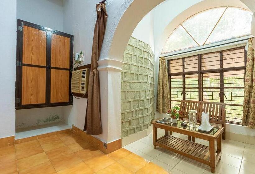 Номер Economy, Jungle King Resort