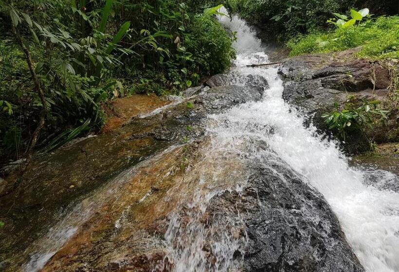 اتاق استاندارد با چشم‌انداز کوهستان, Nua Tone Resort Bang Tao & Cafe