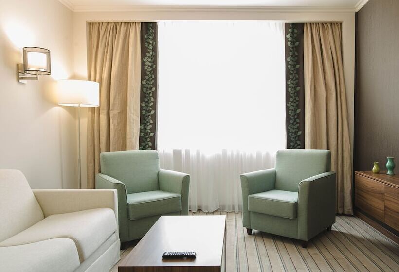 带大床的套房, Hilton Garden Inn Ufa Riverside