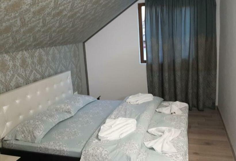 패밀리 룸, Casa Sviniceană