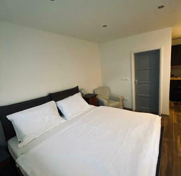 آپارتمان 1 خوابه, Apartmán Ginko I