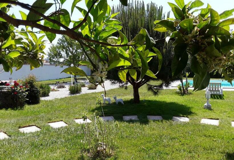 Номер Стандарт Вид на Бассейн, Quinta Camargue