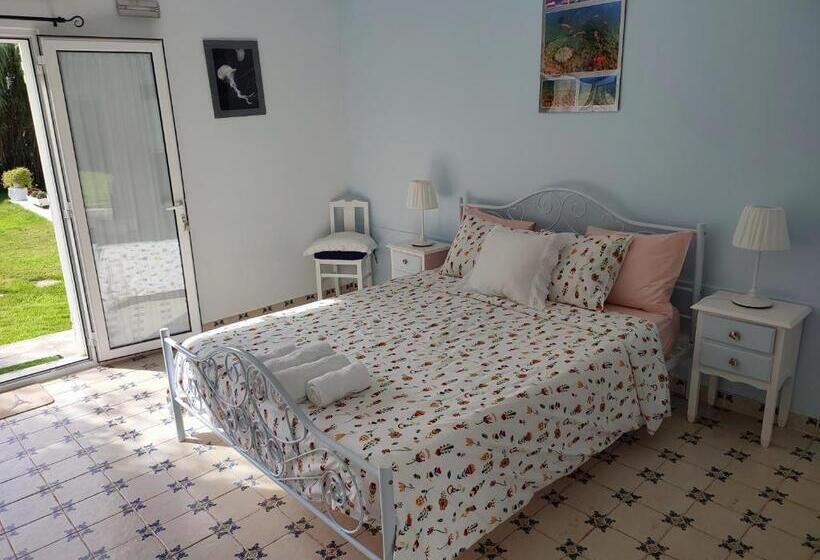 Номер Стандарт Вид на Бассейн, Quinta Camargue