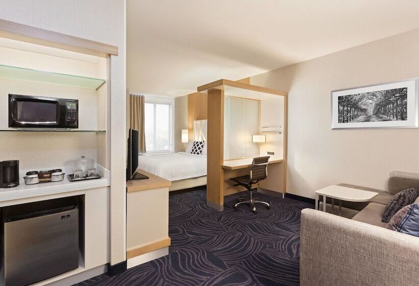 Люкс, Springhill Suites By Marriott Paso Robles Atascadero