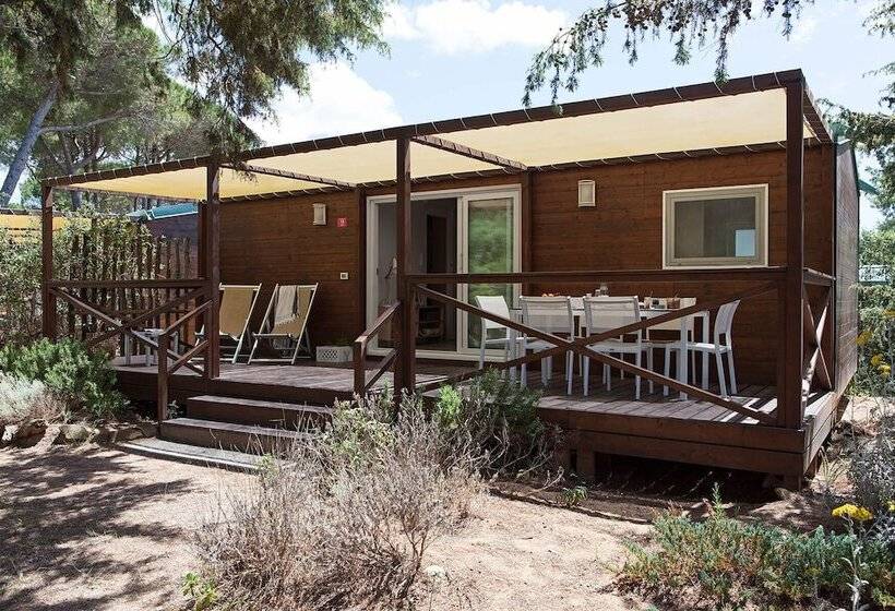 ２ベッドルームハウス, Puntala Camp & Resort