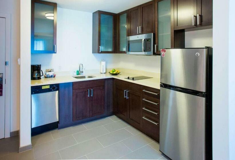 Люкс, Residence Inn By Marriott The Bronx At Metro Center Atrium