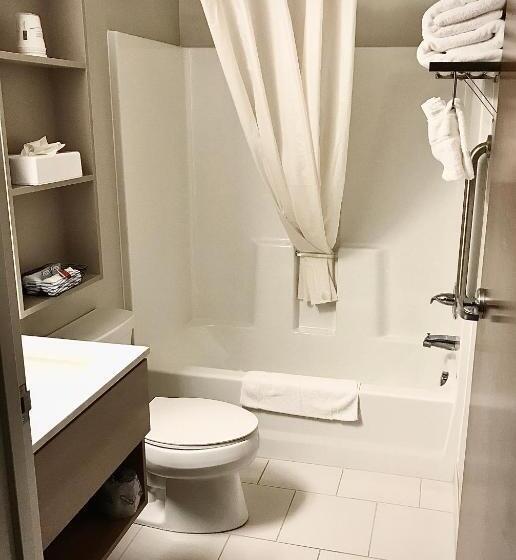 Люкс Deluxe Кровать Кинг, Microtel Inn & Suites By Wyndham Georgetown Delaware Beaches
