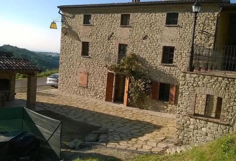 Номер Стандарт, Ca  Növa