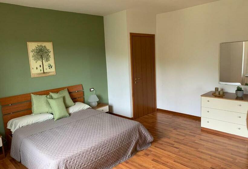 标准间, Casa Modero