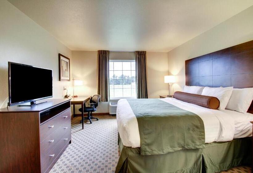 스탠다드 룸 킹사이즈 침대, Cobblestone Inn & Suites   Schuyler