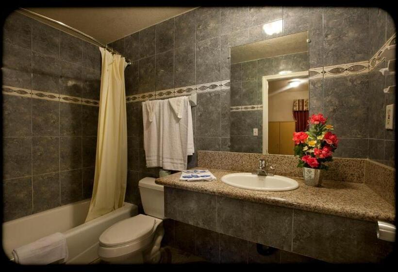 Номер Deluxe с Гидромассажем, The Palace Inn