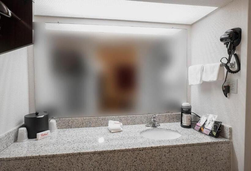 스탠다드 룸 킹사이즈 침대, Red Roof Inn Walterboro