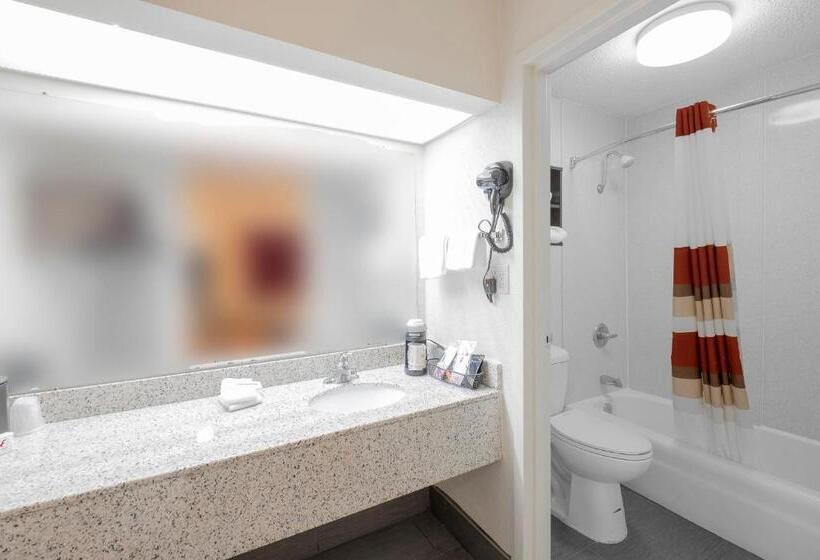 디럭스 룸, Red Roof Inn Walterboro