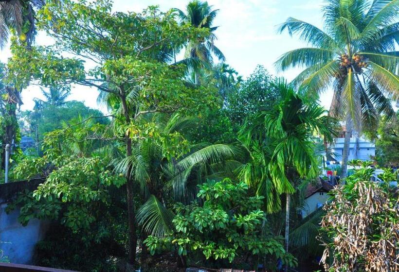 标准三人间, Honolulu Home