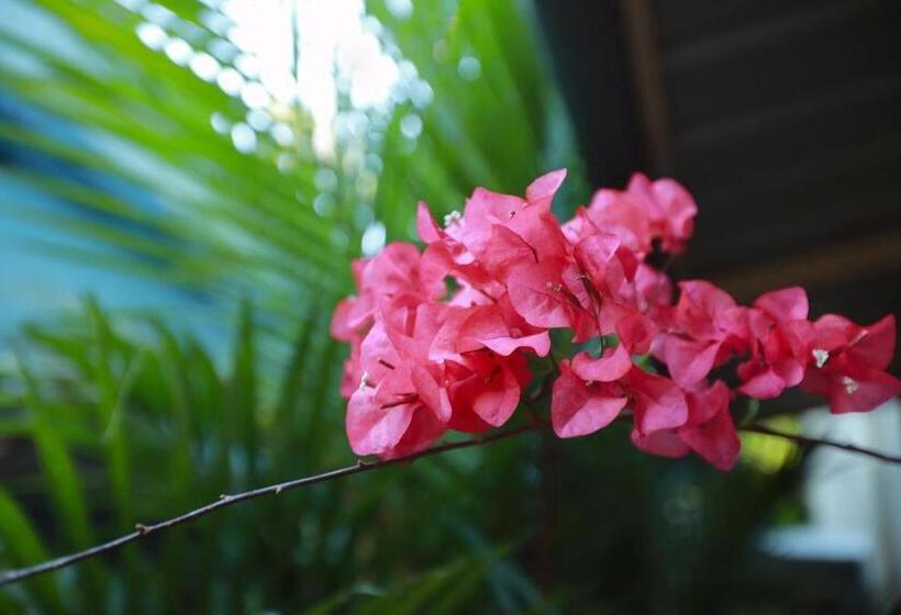 标准间, Honolulu Home
