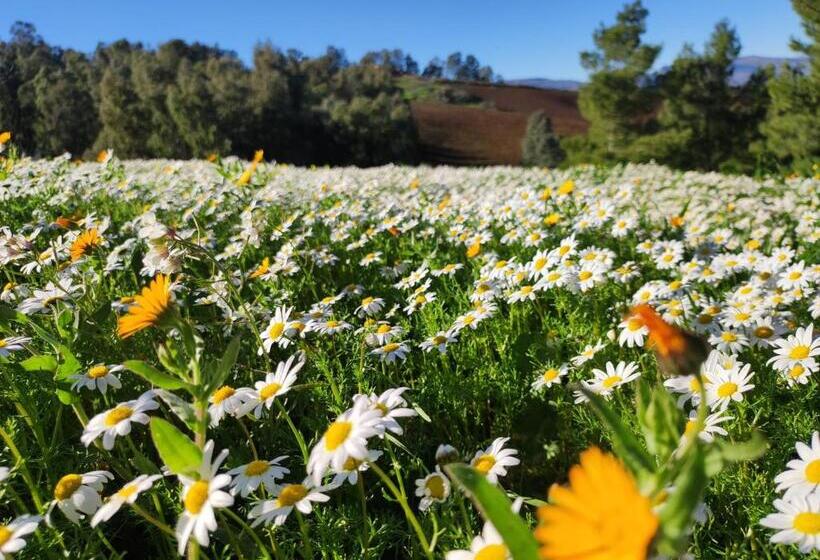 کلبه ییلاقی, Agriturismo Casalicchio