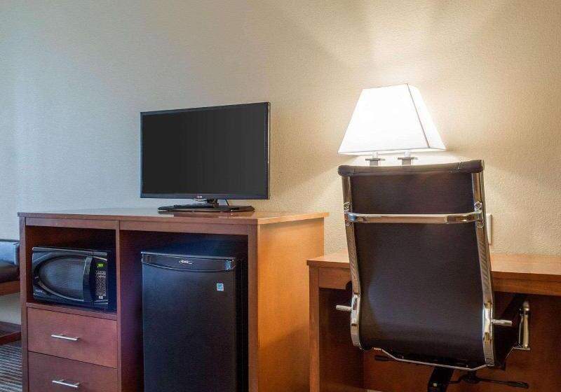 Люкс Адаптированный для Инвалидов, Comfort Inn & Suites