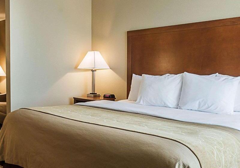Люкс Кровать Кинг, Comfort Inn & Suites