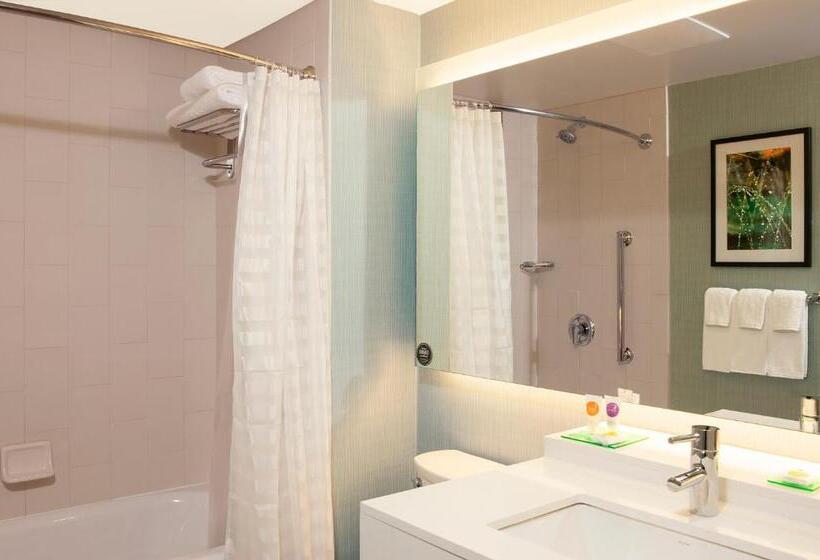 Mozgáskorlátozott Standard Szoba, Hyatt Place Champaign/urbana