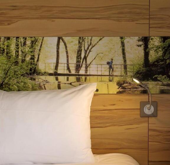 Номер Стандарт, Ibis Styles Sarrebourg