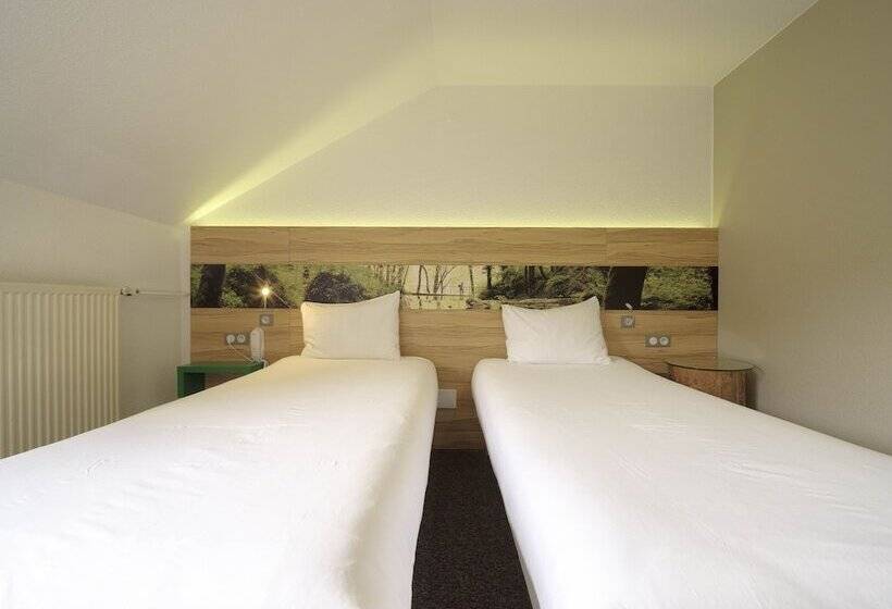 Номер Стандарт, Ibis Styles Sarrebourg
