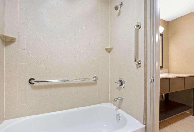 Номер Стандарт Кровать Кинг Адаптированный для Инвалидов, La Quinta By Wyndham Bellingham