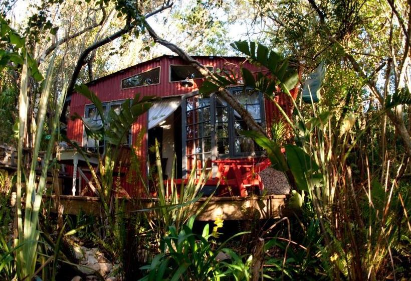 اتاق سوپریور, Bamboo, The Guesthouse