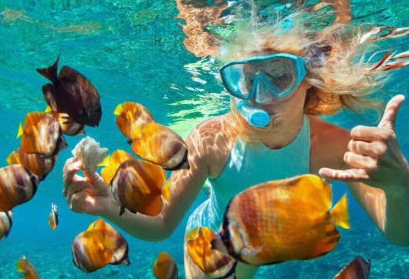 Бунгало Стандарт Вид на Море, Louka Beach Bali
