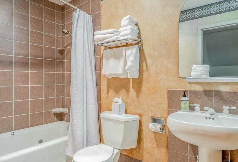 Апартаменты 1 Спальня, The Lodge At Big Sky