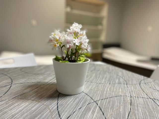 标准三人间, Pokoje Pod świerkiem
