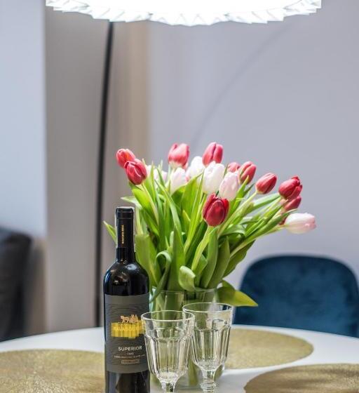 آپارتمان سوپریور 1 خوابه, Słone Residence Apartamenty & Beer Spa