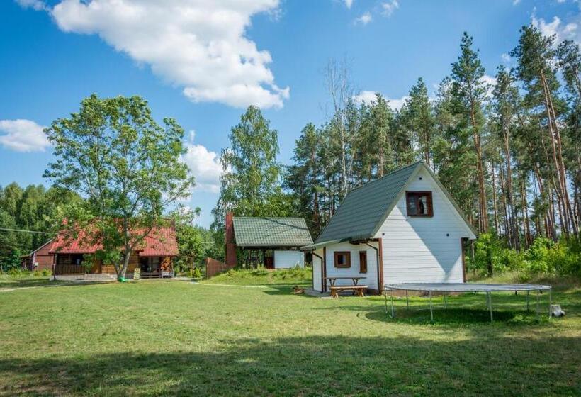 Дом 4 Спальни, Agroturystyka żubr