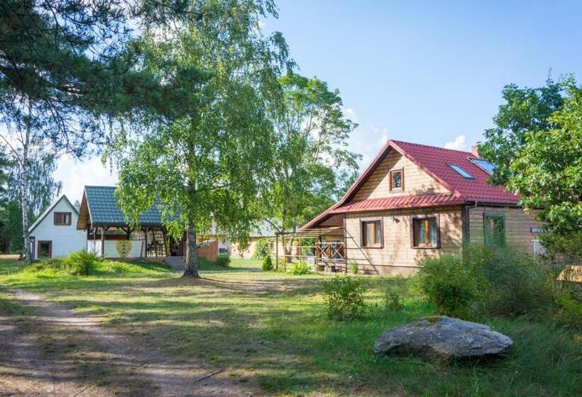 Дом 4 Спальни, Agroturystyka żubr
