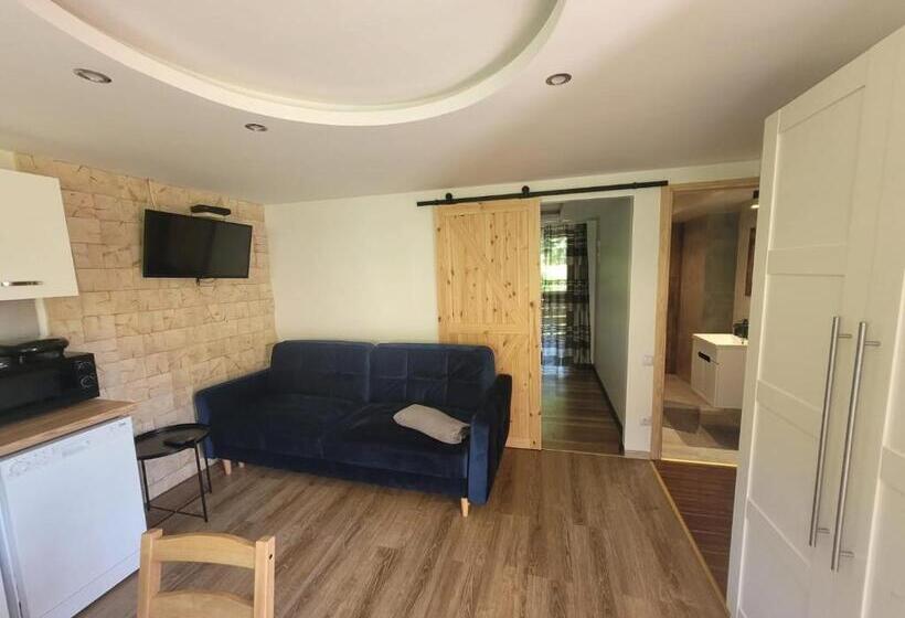 آپارتمان 1 خوابه با بالکن, Apartamenty Kadłubek